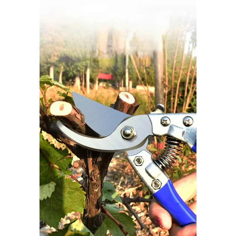 Stainless Steel Gardening and Pruning Shears Scissors Grafting Tool  Scissor Secateurs Floral Fruit Tree Branch Cutting  Picking