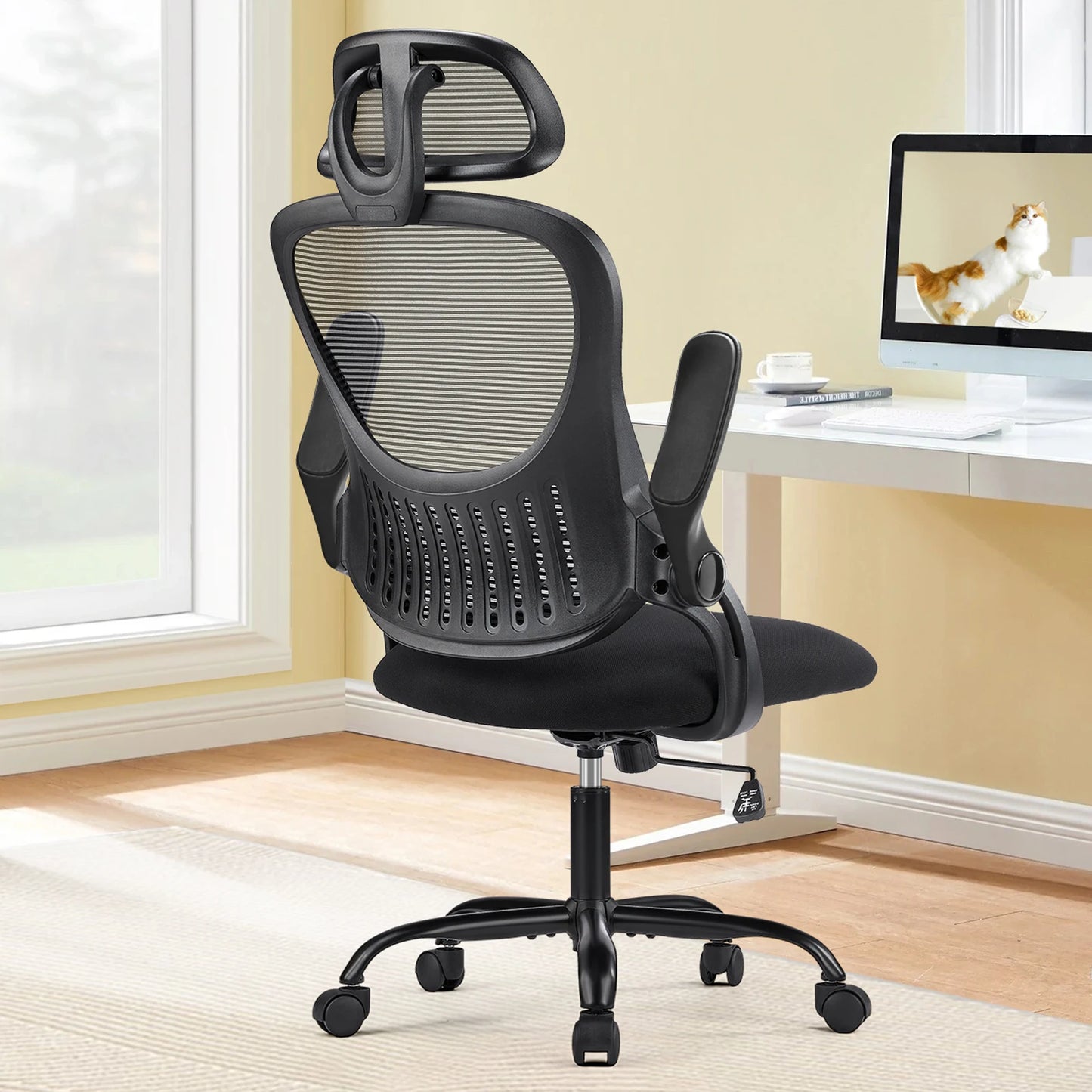 Mesh Ergonomic Computer Chair, Lumbar Support